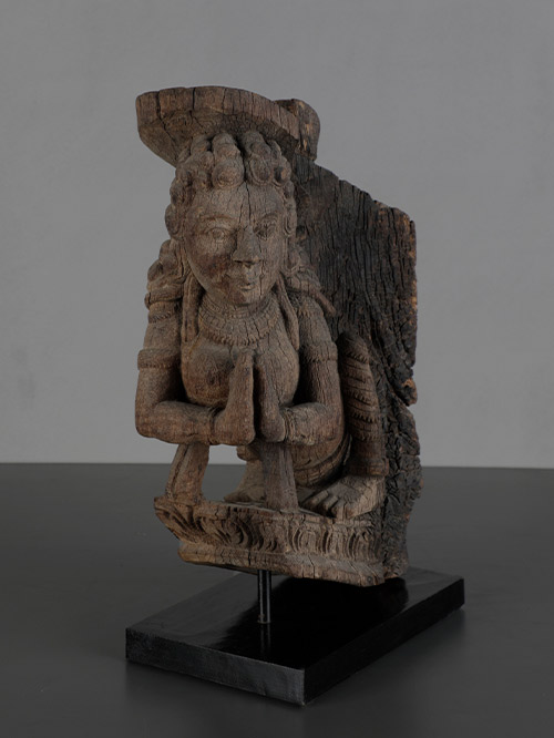 mohini chariot panel