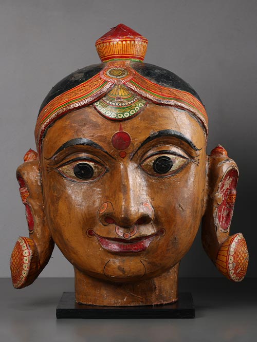 tiger head (copy)