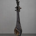 dhodro banam instrument