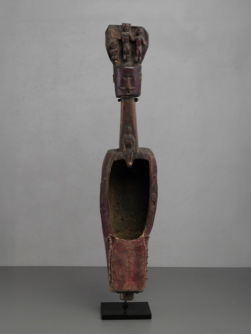dhodro banam instrument