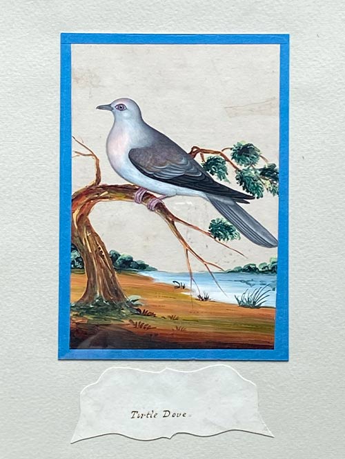set of bird mica paintings set of bird mica paintings