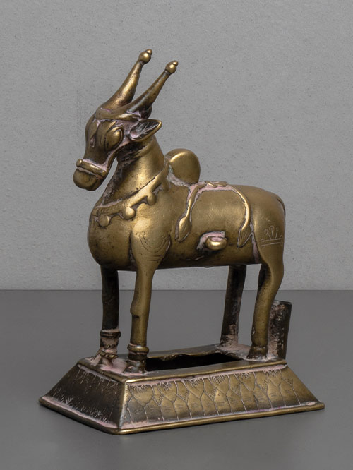 nandi