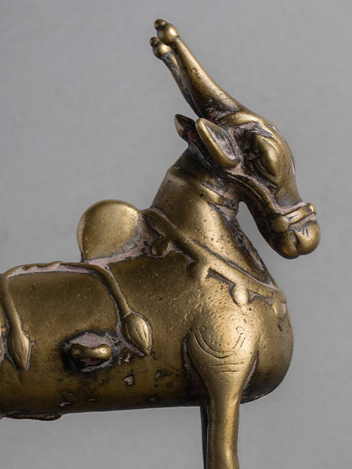 nandi nandi