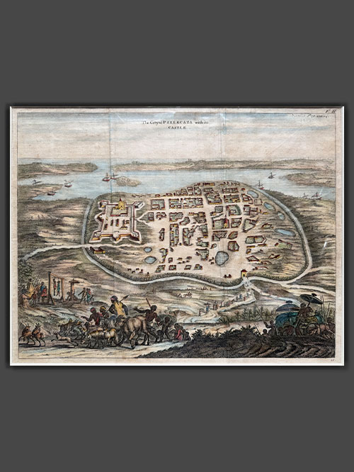 plan of pellacata
