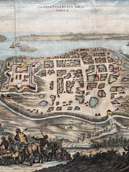 plan of pellacata
